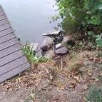 Berek Horgászpark Hövej - Egyéb