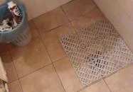 Senator Panzió Nyíregyháza