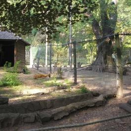 Erzsébet Park Hotel, Parádfürdő - Egyéb