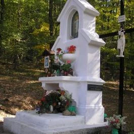 Erzsébet Park Hotel, Parádfürdő - Környék