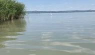 Pole Position Beach Hotel, Balatonszárszó