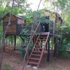 Dióliget Lovasberény - Egyéb