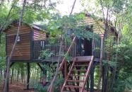 Dióliget Lovasberény