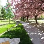 Art Hotel Zalakaros - Környék