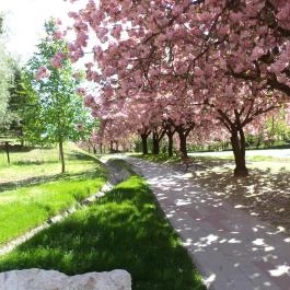 Art Hotel, Zalakaros - Környék