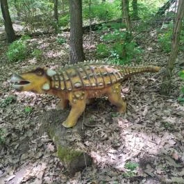 Siroki Dínó Park Sirok - Egyéb