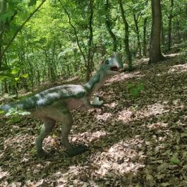 Siroki Dínó Park Sirok - Egyéb