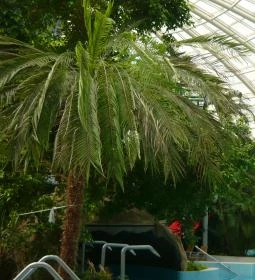 Aquaticum Mediterrán Élményfürdő