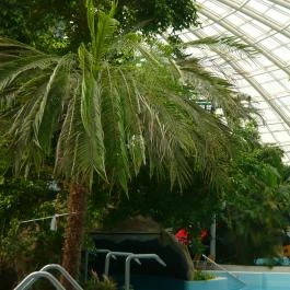 Aquaticum Mediterrán Élményfürdő, Debrecen - 
