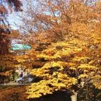 Fészek Apartmanház Gyula - Egyéb