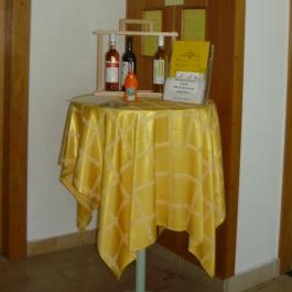 Komfort Hotel Platán Harkány - Belső