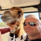 Richter Safari Park Nagykőrös - Egyéb