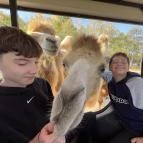 Richter Safari Park Nagykőrös - Egyéb