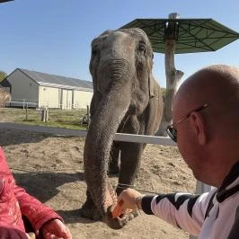 Richter Safari Park Nagykőrös - Egyéb