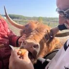 Richter Safari Park Nagykőrös - Egyéb