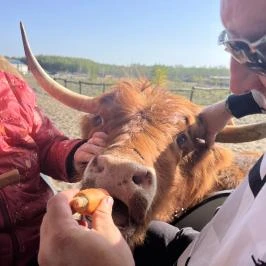 Richter Safari Park Nagykőrös - Egyéb