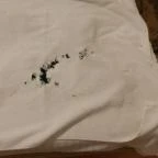 Luxury Spa & Conference Hotel Siófok - Egyéb