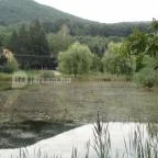 Hotel Bellevue Esztergom - Környék