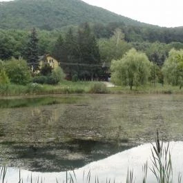 Hotel Bellevue Esztergom - Környék