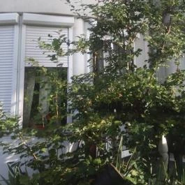 Kastély Villa Miskolc - Külső kép