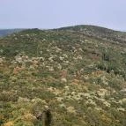 Pécsi TV-Torony Kilátó Pécs - Egyéb