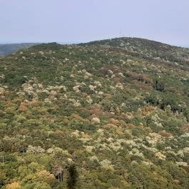 Pécsi TV-Torony Kilátó, Pécs - Egyéb