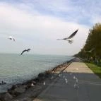 Prémium Hotel Panoráma Siófok - Környék