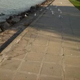 Prémium Hotel Panoráma, Siófok - Környék