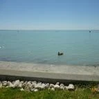 Hunguest Hotel Bál Resort Balatonalmádi - Környék