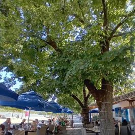 Duna korzó sétány Szentendre - Külső kép