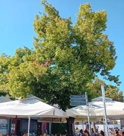 Duna korzó sétány