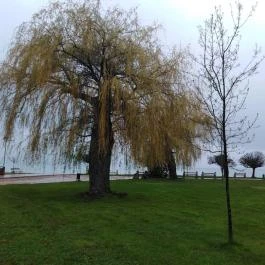 Két Korona Konferencia & Wellness Hotel Balatonszárszó - Környék