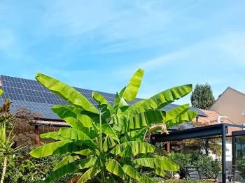 Mi & Ti Pizzéria Szarvas