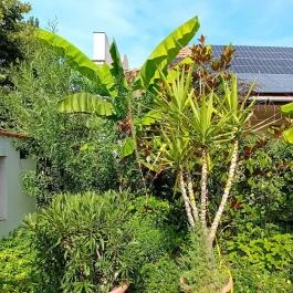 Mi & Ti Pizzéria Szarvas - Külső kép