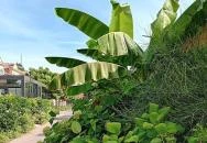 Mi & Ti Pizzéria Szarvas