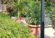 Mi & Ti Pizzéria Szarvas