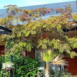 Mi & Ti Pizzéria Szarvas - Külső kép