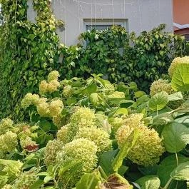 Mi & Ti Pizzéria Szarvas - Külső kép