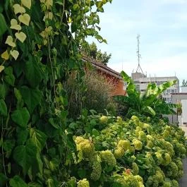 Mi & Ti Pizzéria Szarvas - Külső kép