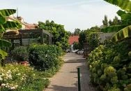 Mi & Ti Pizzéria Szarvas