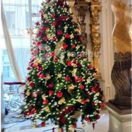 New York Kávéház Budapest - Belső