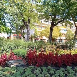 Sétálóutca Békéscsaba - Egyéb