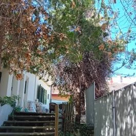 Szentendre fő tere Szentendre - Külső kép