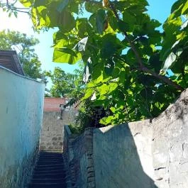 Szentendre fő tere Szentendre - Külső kép