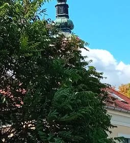 Belgrád Székesegyház