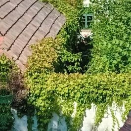 Szentendre fő tere Szentendre - Külső kép