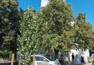 Keresztelő Szent János Plébániatemplom Szentendre