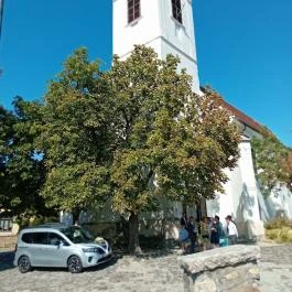 Keresztelő Szent János Plébániatemplom Szentendre - Egyéb