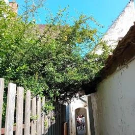 Szentendre fő tere Szentendre - Külső kép