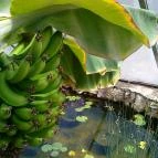 Kurta Étterem Kiskőrös - Külső kép